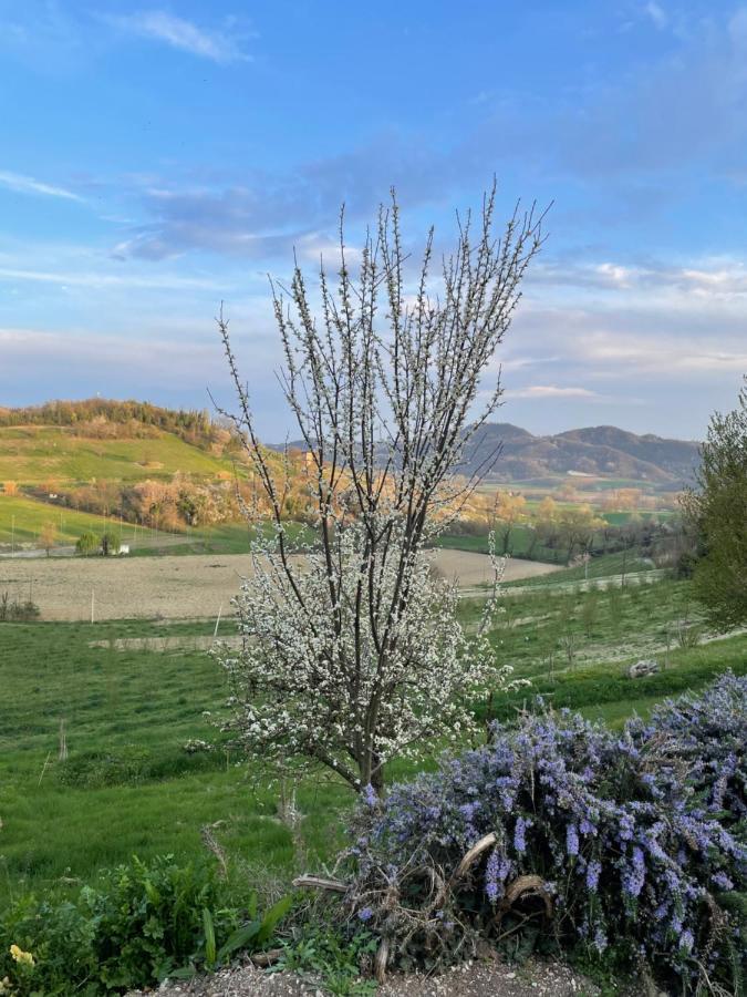 La Cantinetta Resort Mombello Monferrato Εξωτερικό φωτογραφία