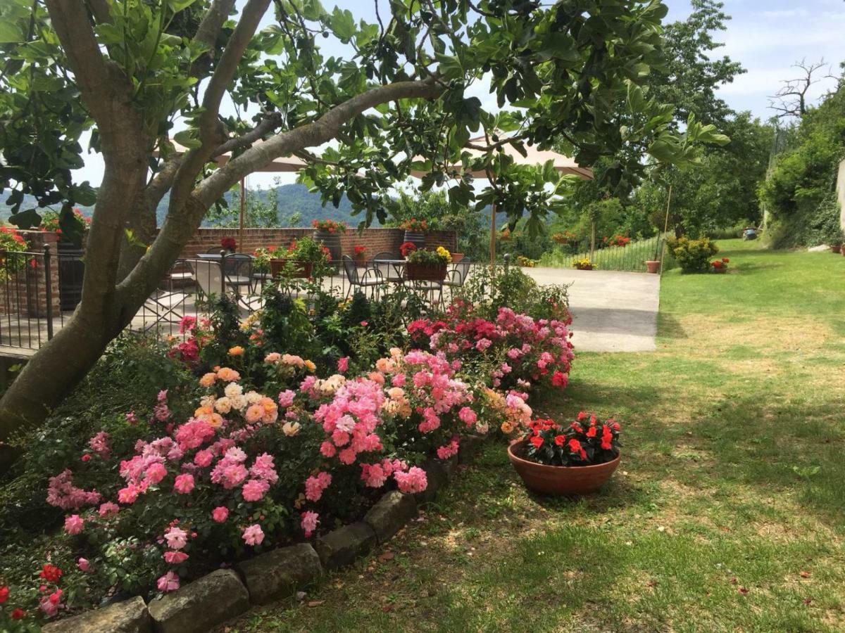 La Cantinetta Resort Mombello Monferrato Εξωτερικό φωτογραφία